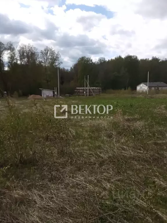 Участок в Костромская область, Костромской район, Минское с/пос, Весна ... - Фото 2