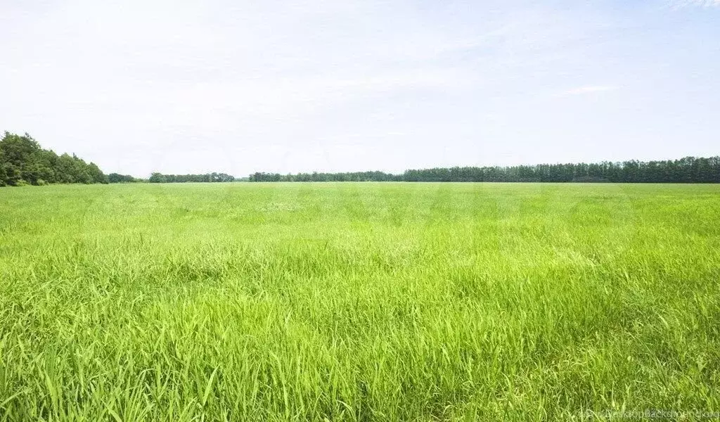 Участок 1,2 га (СНТ, ДНП) - Фото 0
