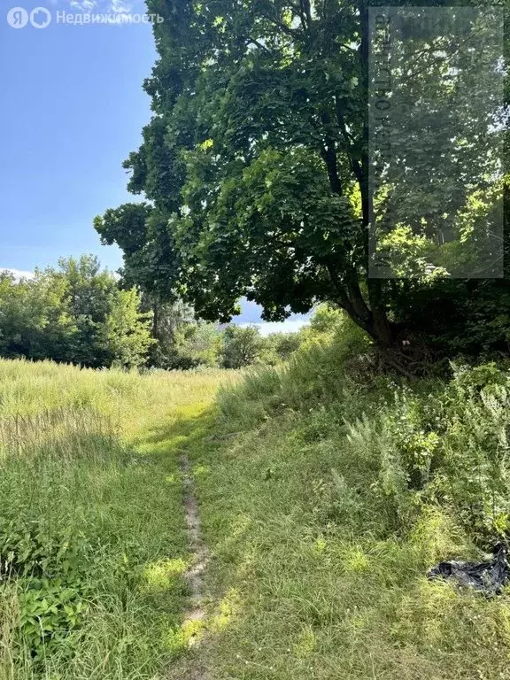 Участок в Иваново, 1-й Ярославский переулок, 3 (15.7 м) - Фото 2