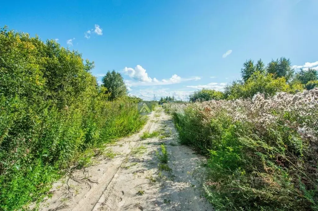Участок в Тюменская область, Нижнетавдинский район, Душевное садовое ... - Фото 2