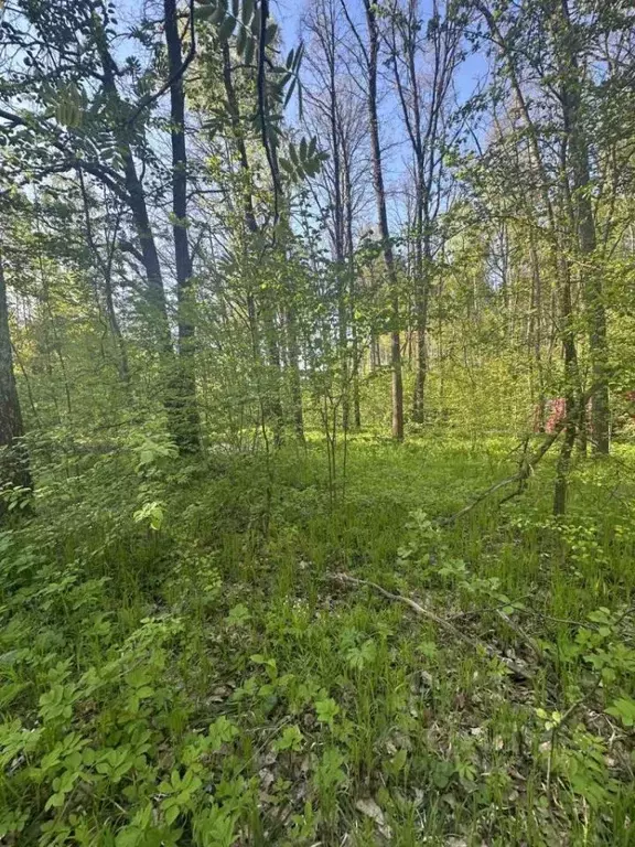 Участок в Нижегородская область, Богородский муниципальный округ, д. ... - Фото 0