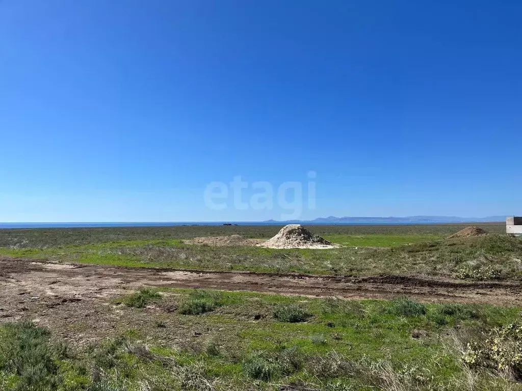 Участок в Крым, Ленинский район, с. Луговое ул. Луговская (793.9 сот.) - Фото 1