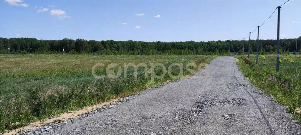 Участок в Тюменская область, Тюменский район, с. Кулига, Сказка кп ул. ... - Фото 1