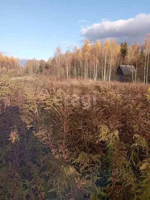 Участок в Московская область, Можайский городской округ, д. Мокрое 12 ... - Фото 0