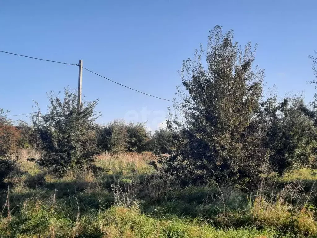 Участок в Калининградская область, Гурьевский муниципальный округ, ... - Фото 2