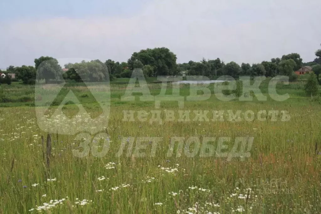 Участок в Тюменская область, Тюмень Царево садовое товарищество, ул. ... - Фото 2