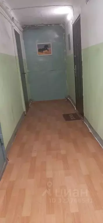 Студия Красноярский край, Красноярск ул. Королева, 9 (18.0 м) - Фото 2