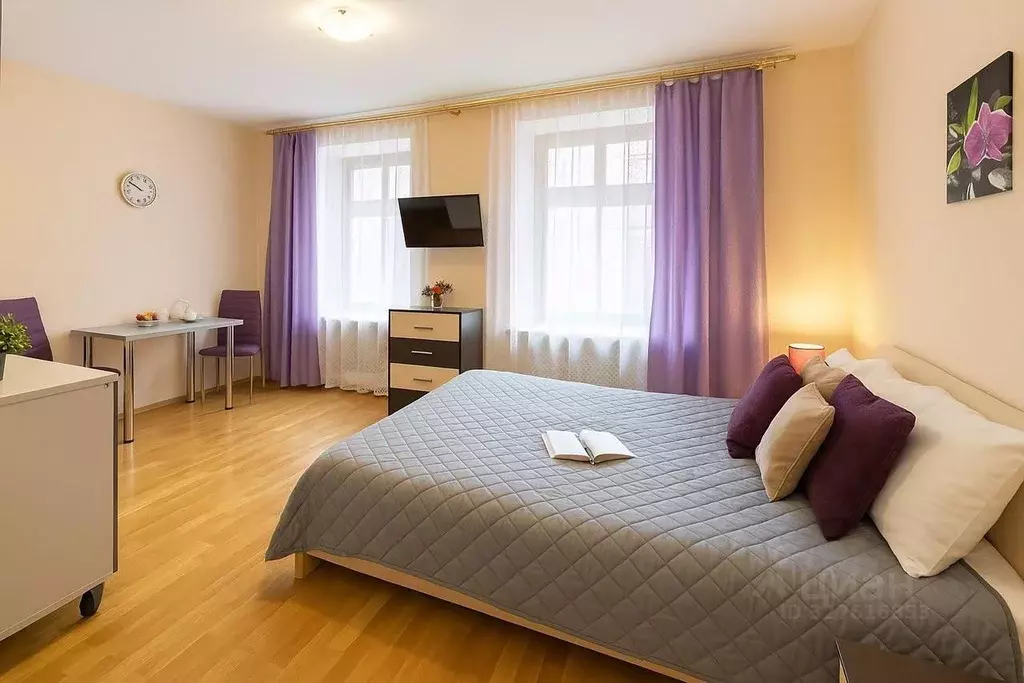 Студия Санкт-Петербург Московский просп., 18 (25.0 м) - Фото 0