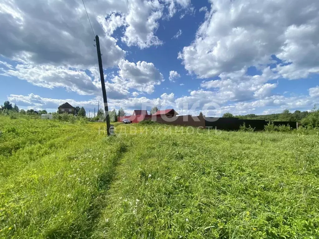 Участок в Пермский край, Усольский район, с. Пыскор ул. Жарова, 5 ... - Фото 2