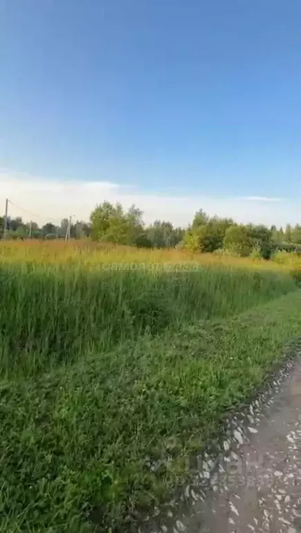 Участок в Московская область, Клин городской округ, д. Тиликтино  ... - Фото 2