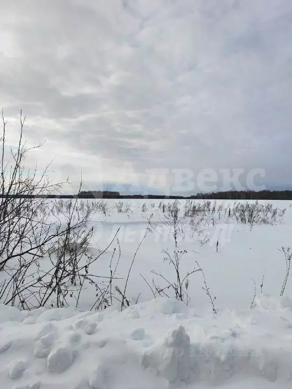 Участок в Тюменская область, Нижнетавдинский муниципальный округ, ... - Фото 1