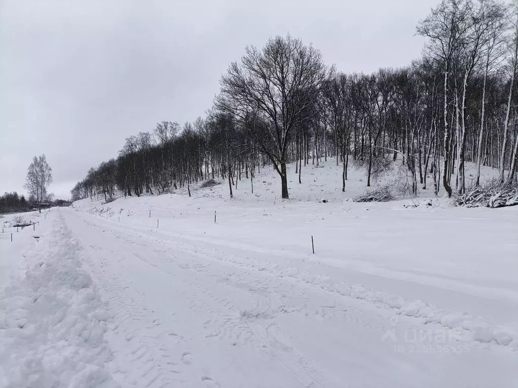 Участок в Московская область, Дмитровский муниципальный округ, д. ... - Фото 2