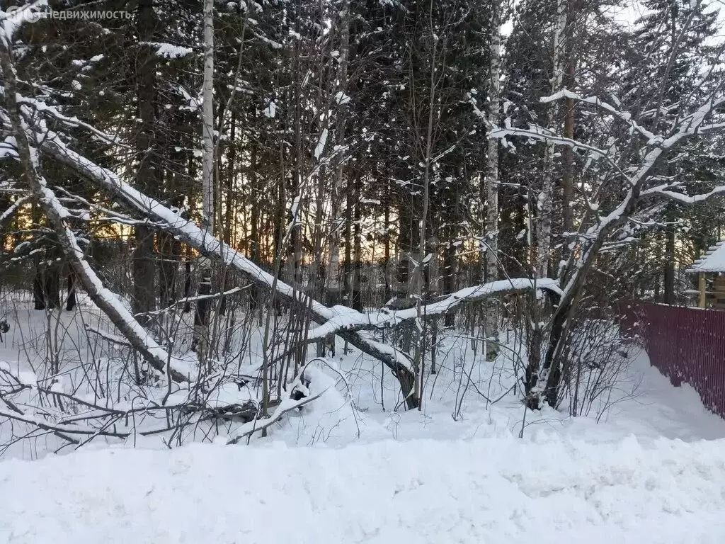 Участок в Архангельская область, Приморский муниципальный округ, ... - Фото 2