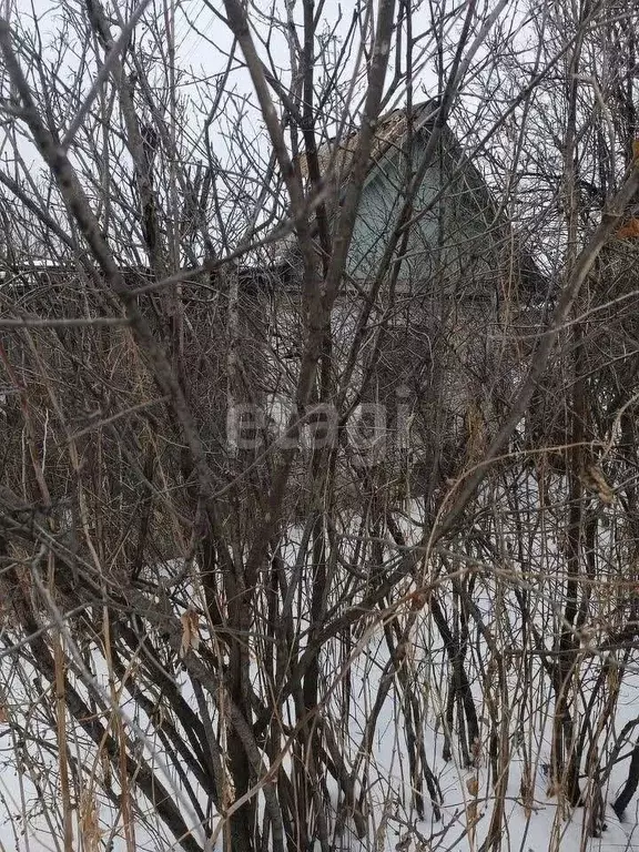 Дом в Челябинская область, Миасс Автомобиль СНТ, 386 (14 м) - Фото 1