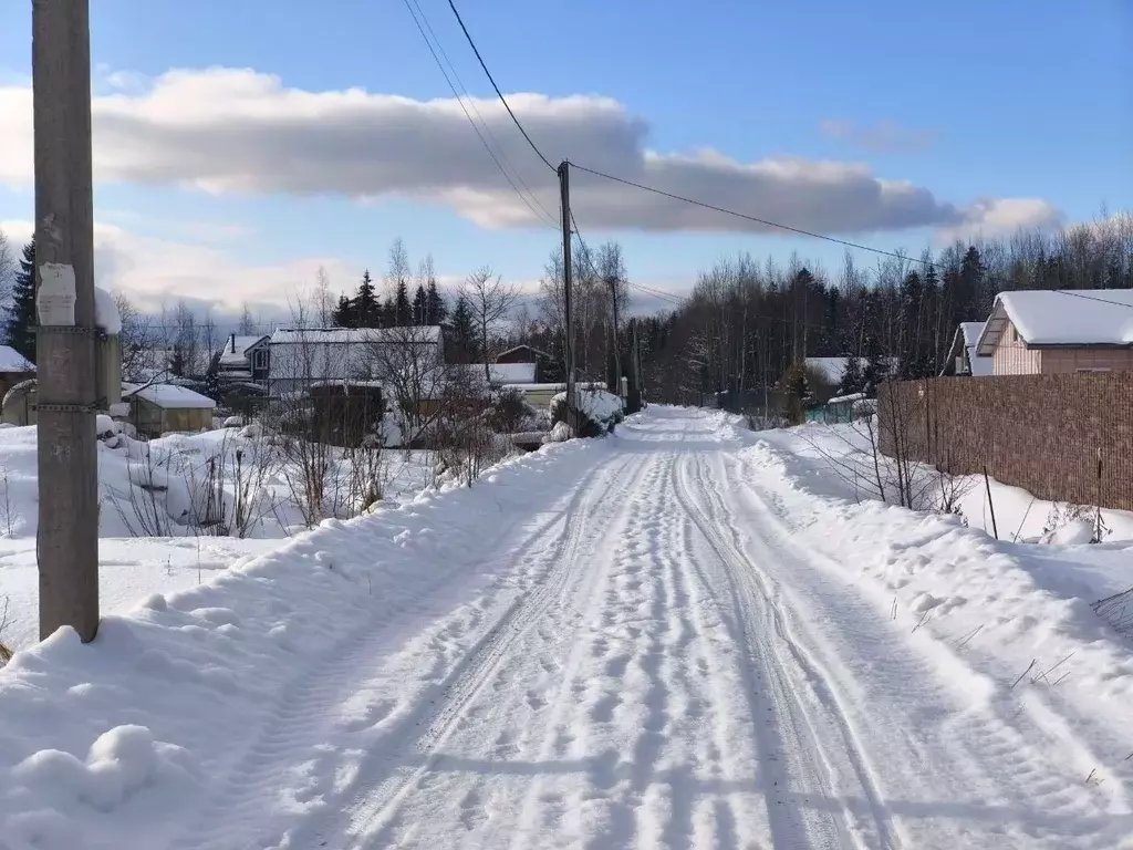 Участок в Ленинградская область, Тосненский район, Форносовское ... - Фото 1