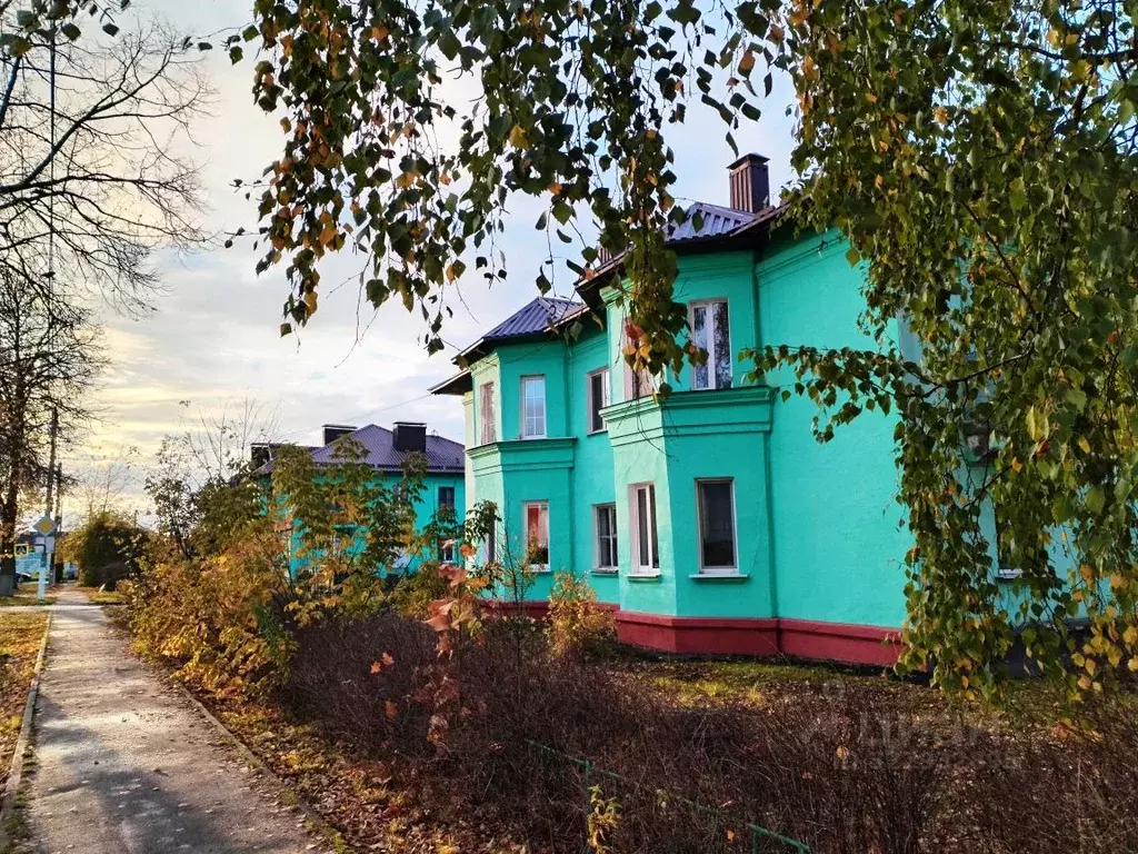 2-к кв. Брянская область, Жуковка ул. Карла Маркса, 1 (60.1 м) - Фото 2