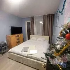 2-к кв. Санкт-Петербург просп. Испытателей, 15К1 (45.0 м) - Фото 1