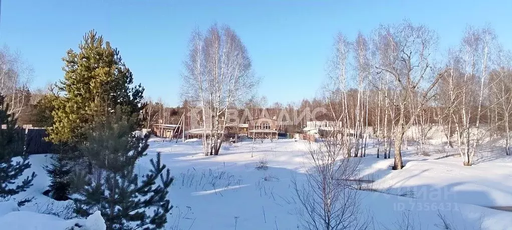 Дом в Московская область, Чехов городской округ, д. Большое Петровское ... - Фото 0