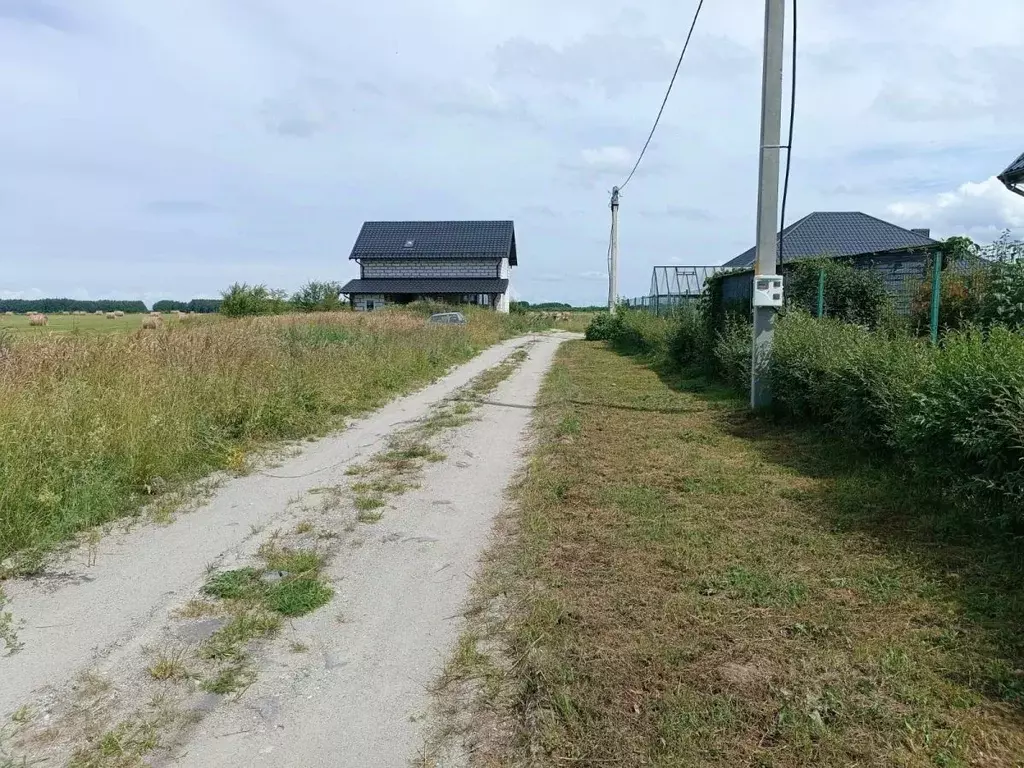 Участок в Калининградская область, Гурьевский муниципальный округ, ... - Фото 2