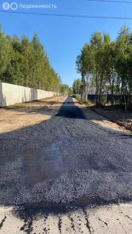 Участок в Дмитровский городской округ, посёлок Муханки (8.74 м) - Фото 1