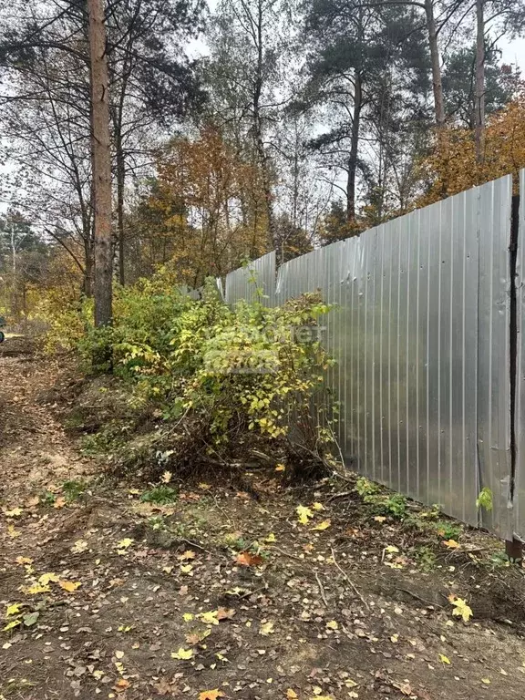 Участок в Московская область, Люберцы городской округ, Малаховка пгт  ... - Фото 2