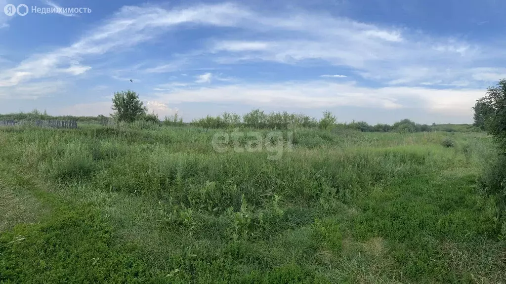 Участок в Ульяновская область, рабочий посёлок Чердаклы (10 м) - Фото 1