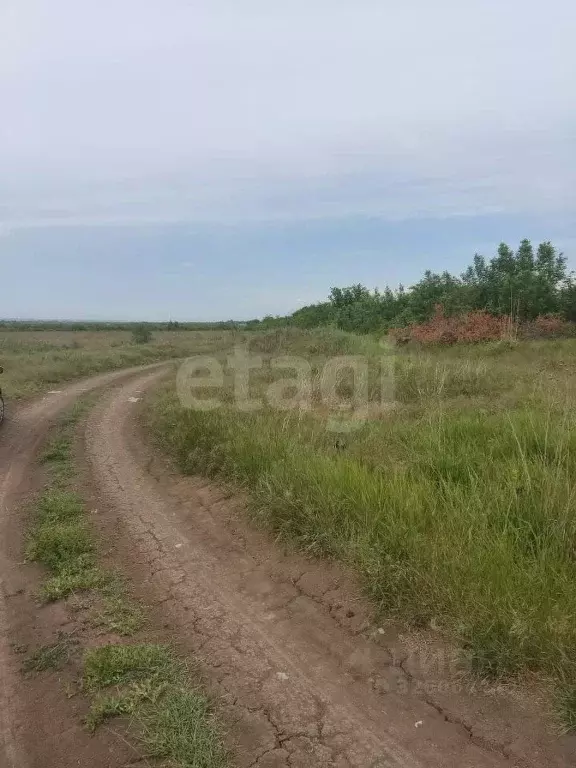 Участок в Ростовская область, Азов Азовский район, Х-Виллаж кп, ул. ... - Фото 2