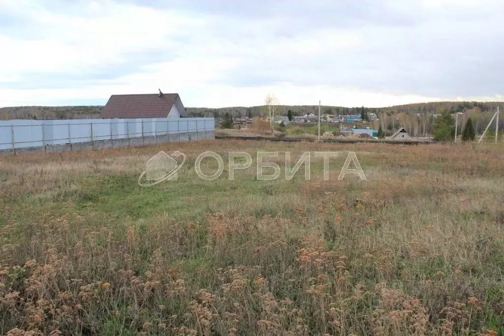 Участок в Свердловская область, Тугулымский муниципальный округ, с. ... - Фото 1