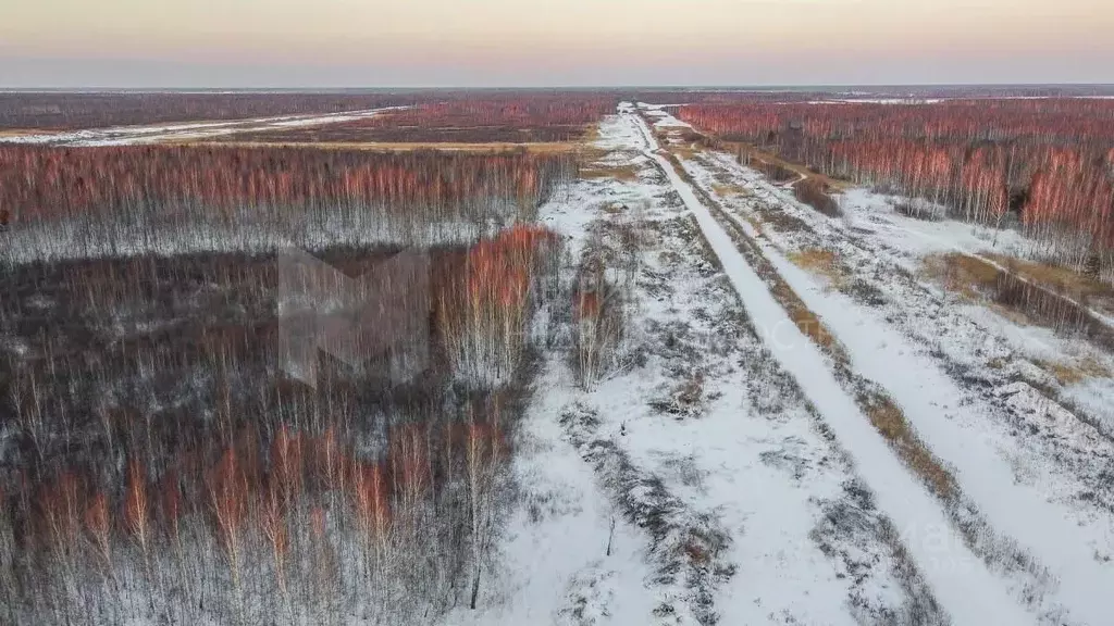 Участок в Тюменская область, Нижнетавдинский муниципальный округ, ... - Фото 1
