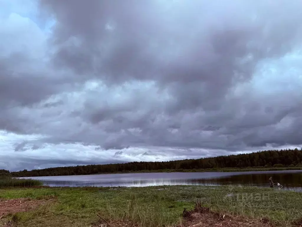 Участок в Московская область, Егорьевск муниципальный округ, д. ... - Фото 2