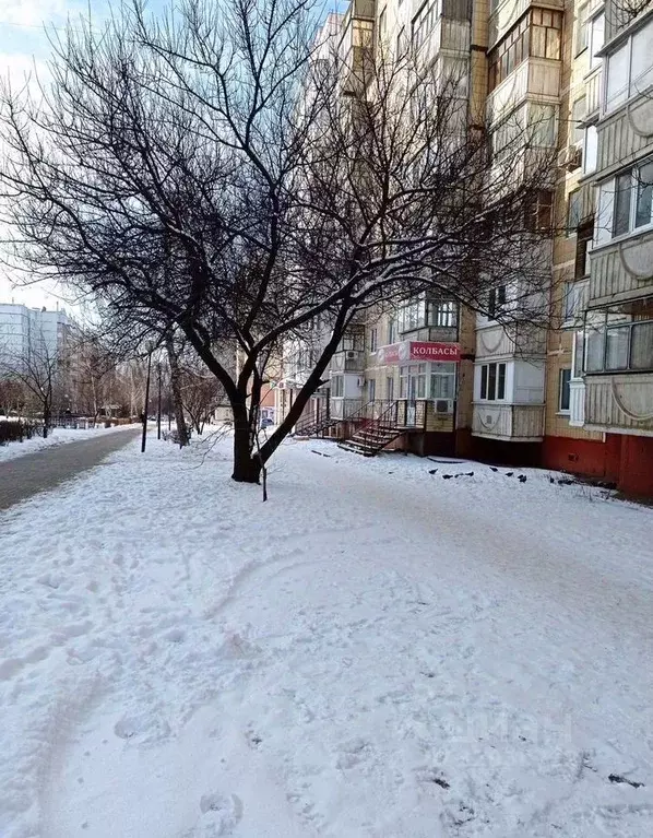 Помещение свободного назначения в Белгородская область, Белгород ул. ... - Фото 2