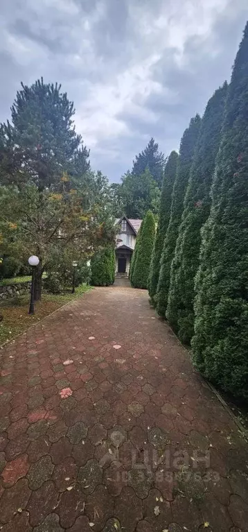 Участок в Краснодарский край, Сочи городской округ, Красная Поляна пгт ... - Фото 1