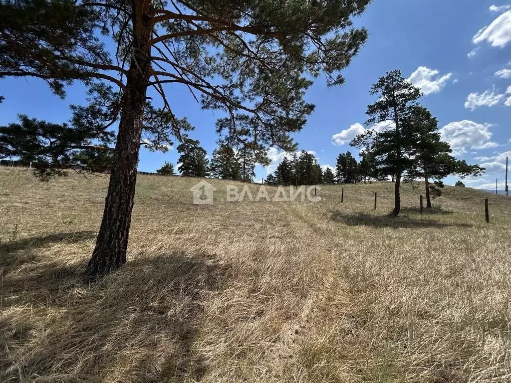 Участок в Бурятия, Тарбагатайский район, Саянтуйское с/пос, с. Нижний ... - Фото 2
