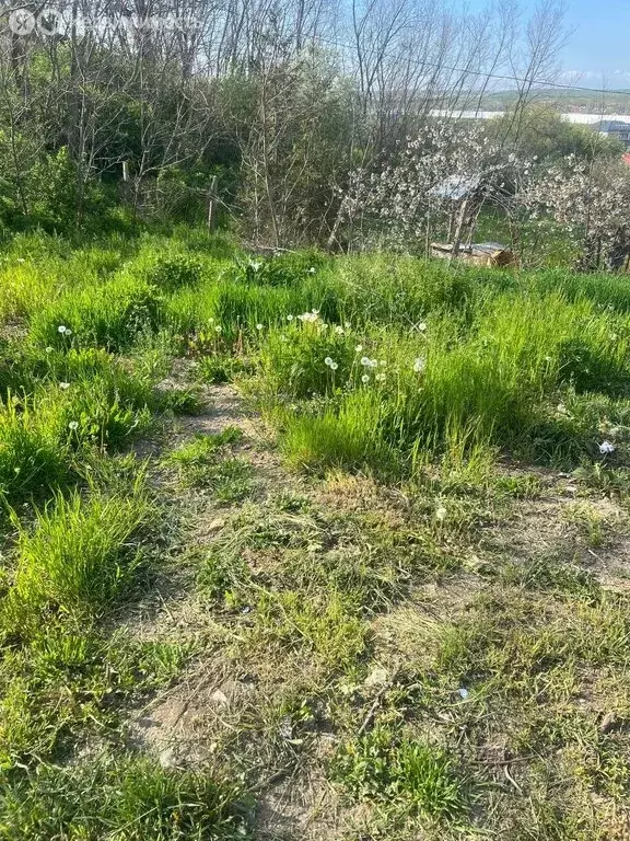 Участок в Добровское сельское поселение, село Заречное, Озёрный ... - Фото 2