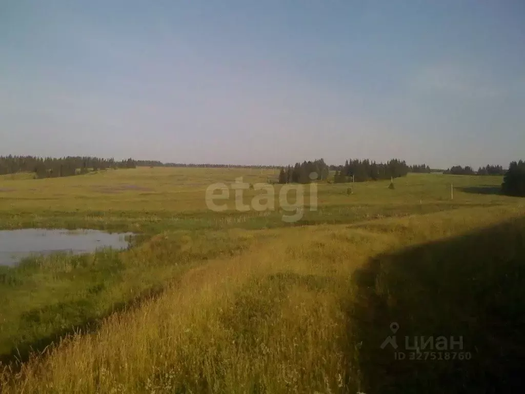 Участок в Пермский край, Кунгурский муниципальный округ, с. Калинино ... - Фото 2