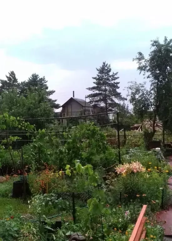 Участок в Оренбургская область, Оренбургский район, Экспериментальный ... - Фото 1