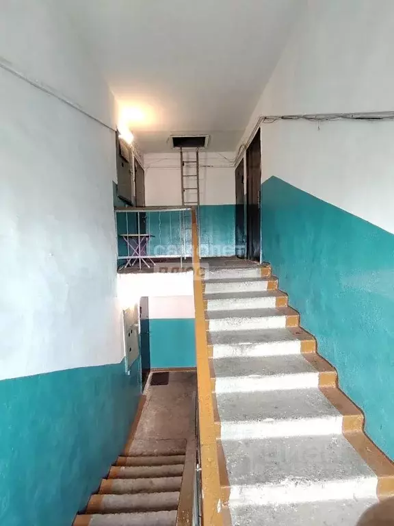 1-к кв. Забайкальский край, Чита ул. Энтузиастов, 92 (27.6 м) - Фото 2