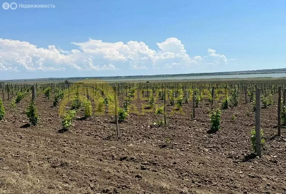 Участок в станица Старотитаровская, переулок Ильича, 21 (10 м) - Фото 0