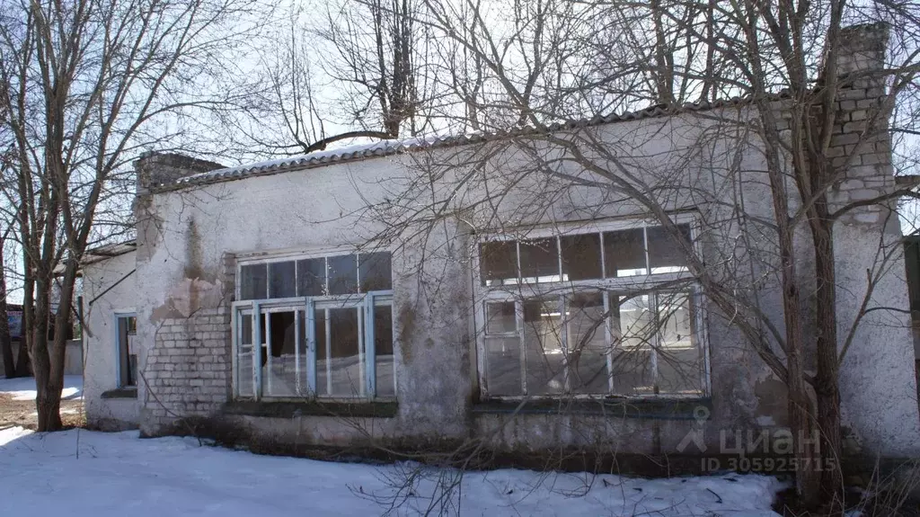 Помещение свободного назначения в Брянская область, Дубровка рп ул. ... - Фото 1