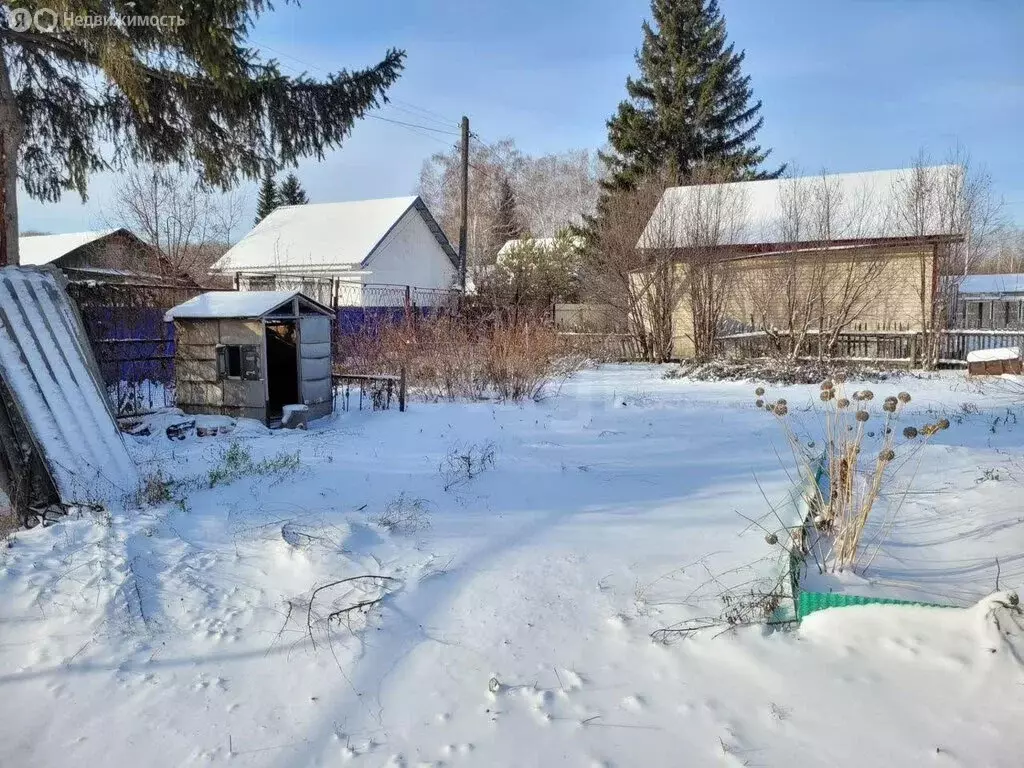Дом в Омск, территория СОСН Маяк-1 (20 м) - Фото 1
