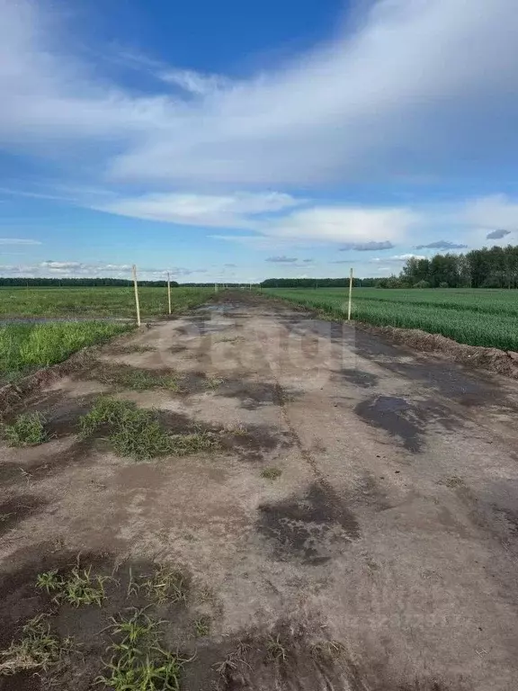 Участок в Тюменская область, Тюменский муниципальный округ, ... - Фото 1