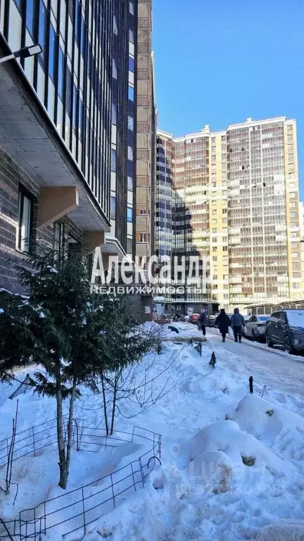 Студия Ленинградская область, Мурино Всеволожский район, бул. ... - Фото 1