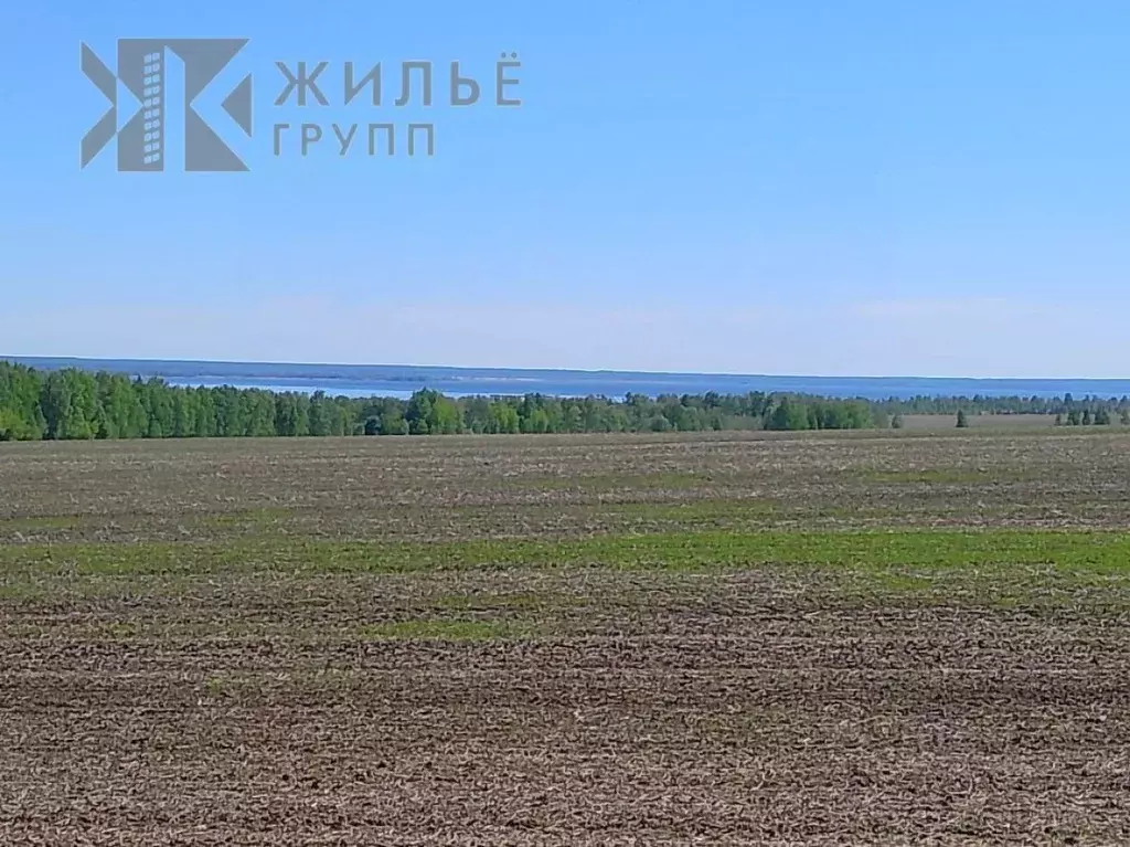 Участок в Татарстан, Камско-Устьинский район, Теньковское с/пос, д. ... - Фото 0