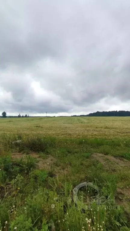 Участок в Ленинградская область, Ломоносовский район, Гостилицкое ... - Фото 1