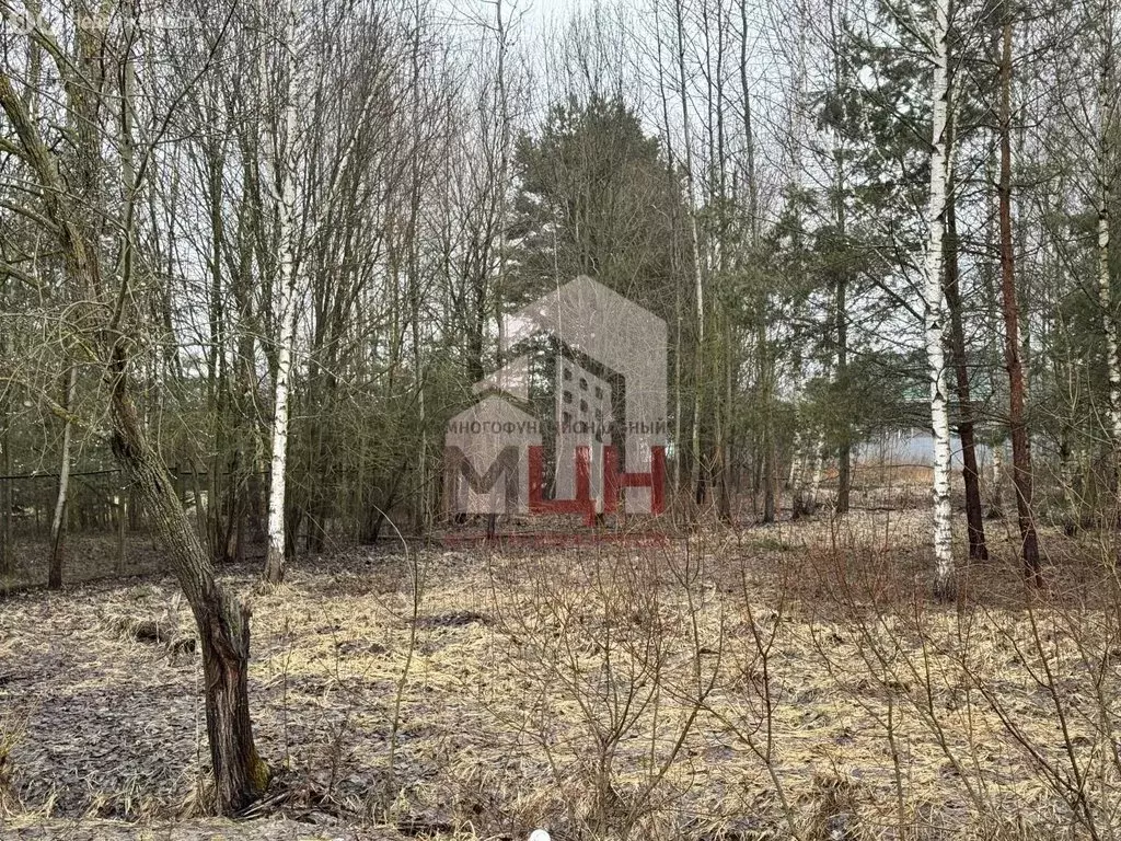 Участок в Тверская область, Конаковский муниципальный округ, деревня ... - Фото 2