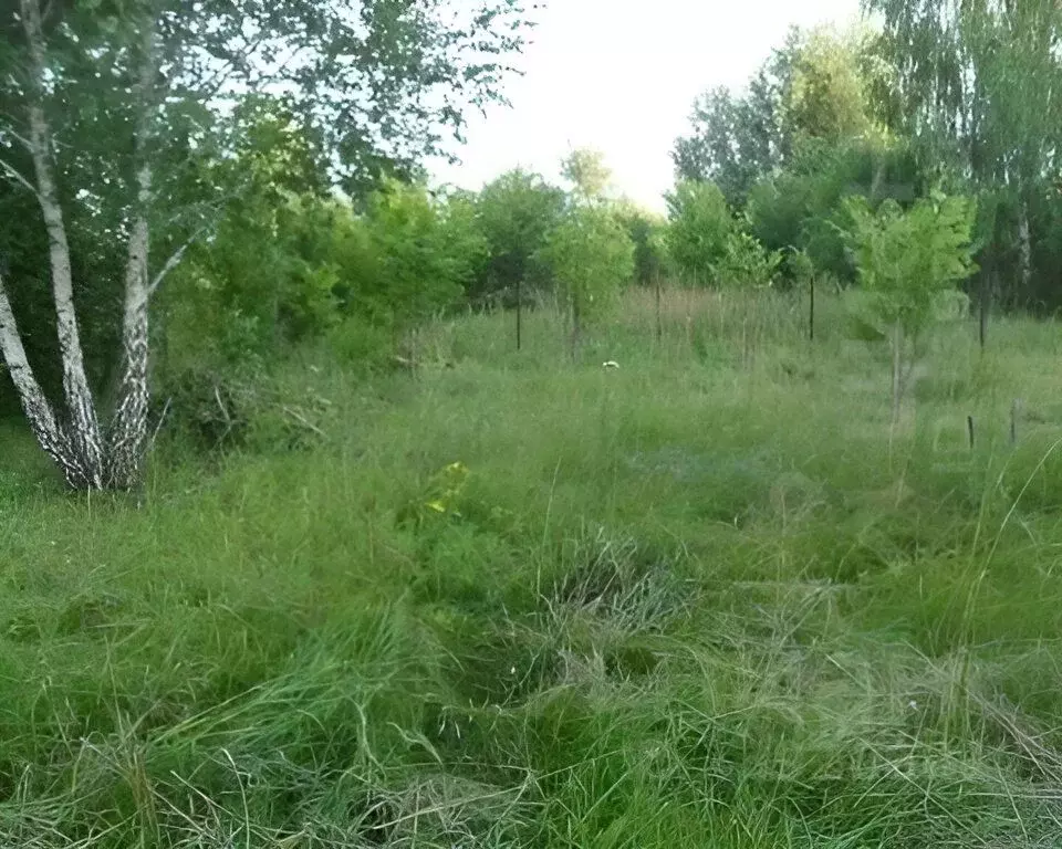 Участок в Башкортостан, Чишминский район, Ибрагимовский сельсовет, ... - Фото 1