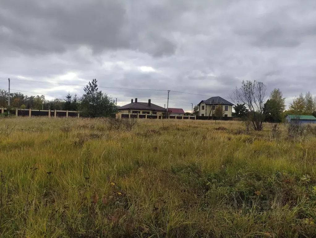 Участок в Воронежская область, Рамонский район, Айдаровское с/пос, ... - Фото 1