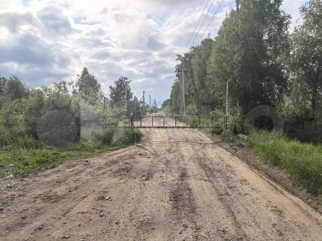 Участок 10 сот. (СНТ, ДНП) - Фото 0