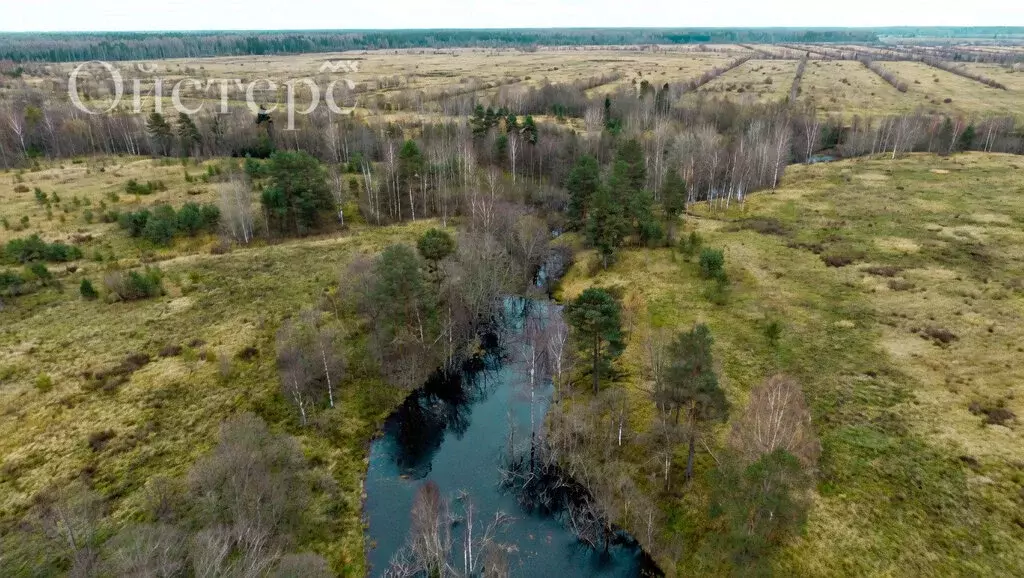 Участок в Любанское городское поселение, массив Агротехника (164 м) - Фото 2