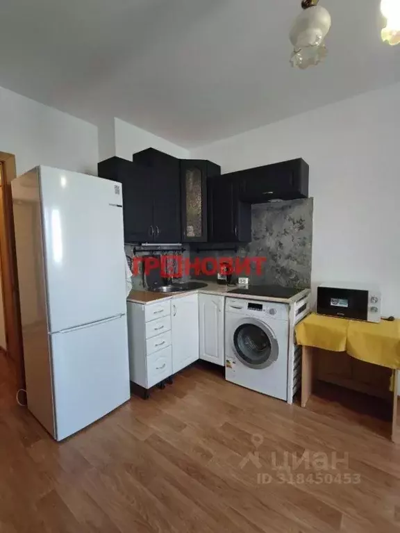 Студия Новосибирская область, Новосибирск ул. Петухова, 99/1 (21.0 м) - Фото 1